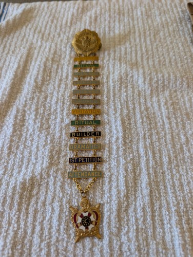 VTG GRAND COUNCIL ORDER OF DEMOLAY MERIT MEDAL 12 LADDER PENDANT great condition