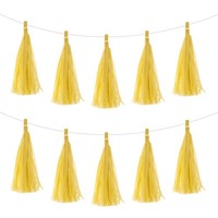 30Stk Helle Gelbe Quasten Girlande Banner Mit Seil Tissue Papier Quasten