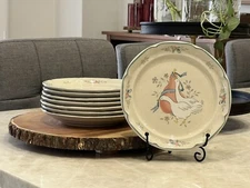 International - Marmalade Stoneware Salad Plate 7 5/8" - set of 8