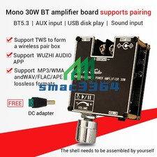 Mono Channel 30W Bluetooth 5.3 Stereo Audio Amplifier Board Module TWS