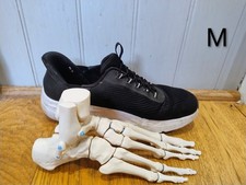 Magnetised anatomical foot skeleton model