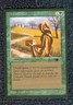 CITANUL DRUID uncommon  1994 ANTIQUITIES  Magic the Gathering Unplayed  NM