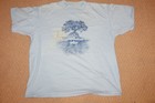 Picture 2 of 11