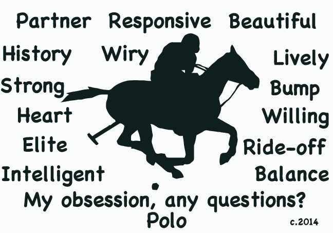 Polo Pony Horse My Obsession domande? T shirt unisex scelta