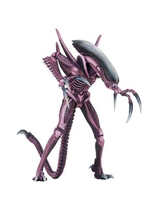 NECA AVP エイリアンセット NECA - Aliens vs Predator (Arcade Appearance) - 7