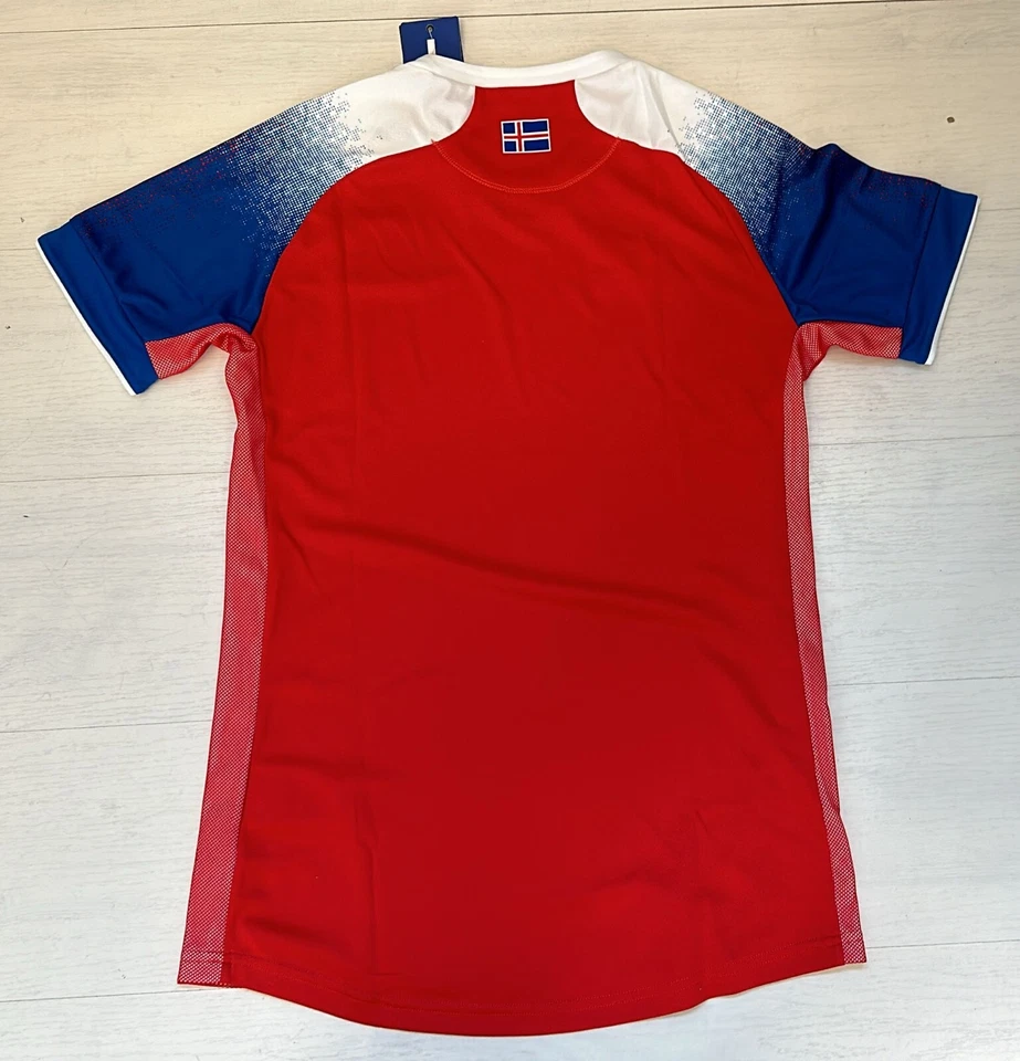 4900/71 ERREA KSI ISLANDA MAGLIA AWAY UOMO PORTIERE NAZIONALE CALCIO 2018 - Immagine 2 di 2