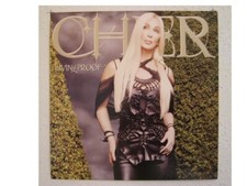 Cher Poster Flat Blonde Hair Living Proof