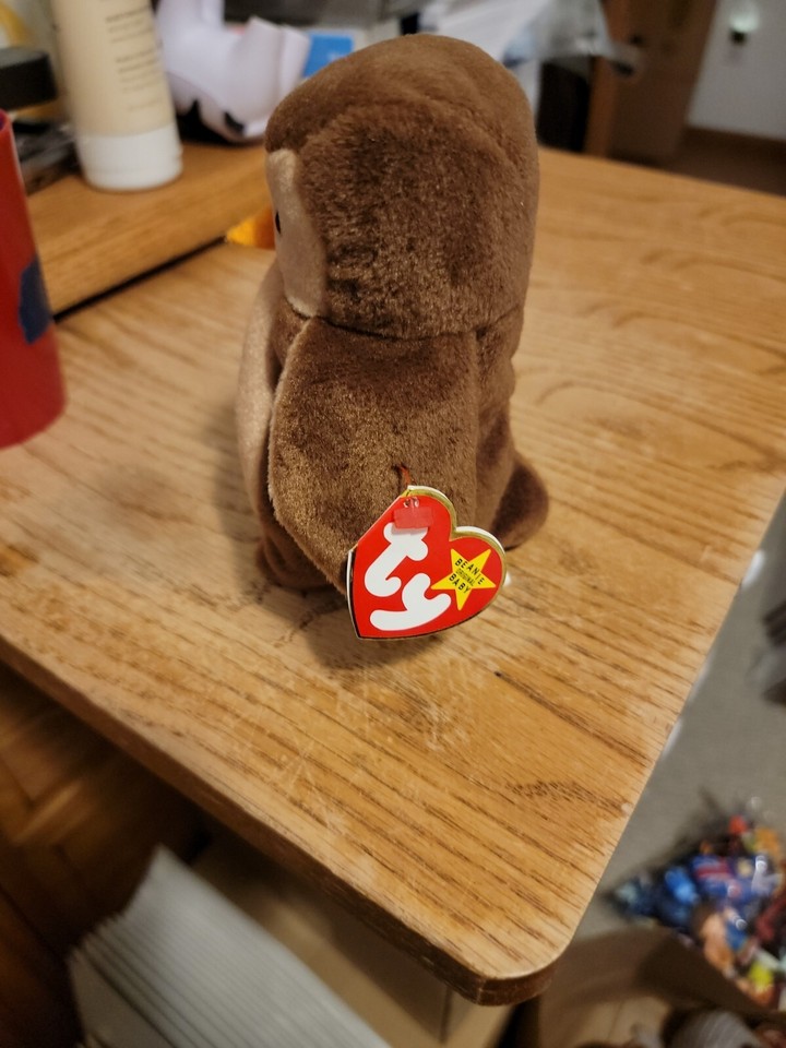 Ty Beanie Baby: HOOT the OWL. PVC Pellets 1995 MINT! | eBay