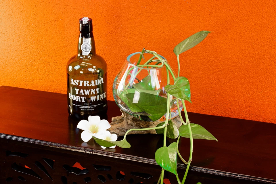 Geschmolzenes Glas auf Wurzelholz Bali Vase Glasschale Blumenvase Teak Holz Deko - Bild 2 von 3