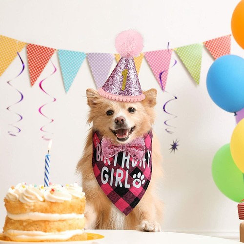 Perro Gato Cumpleaños Sombrero Bandana Bowite Triángulo Bufanda Ropa para Niños Chicas Fiesta - Imagen 12 de 19