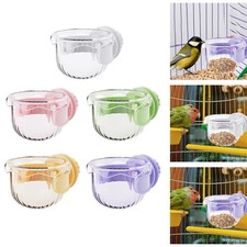 Bird Feeding Dish Cup Bird Feeder Container Box Budgies Cockatiel Water Bowl