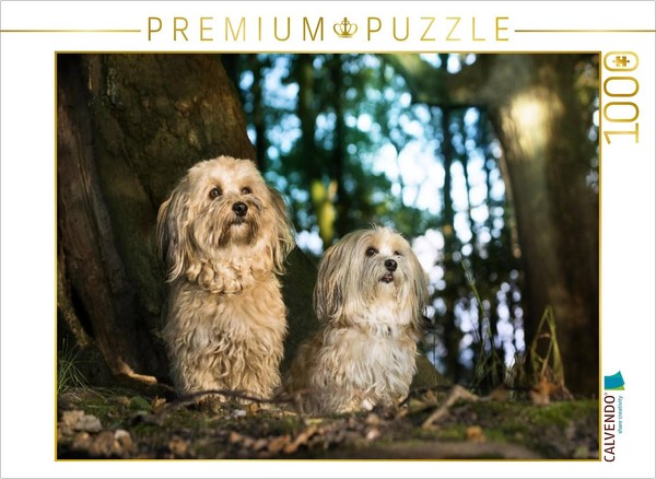 Calvendo Puzzle Havanese Girls | 1000 Pieces, Finished Size 25.2 × 18.9 In (64 ×-image