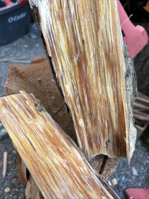 #ad Northern California Pine Pitch Wood Aka Fatwood 5 Lbs $35.00