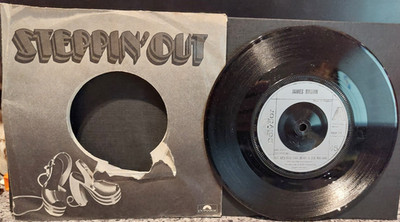 James Brown   For Goodness Sakes, Look At Those Cakes )POSP24) 1979 (7'' Single)