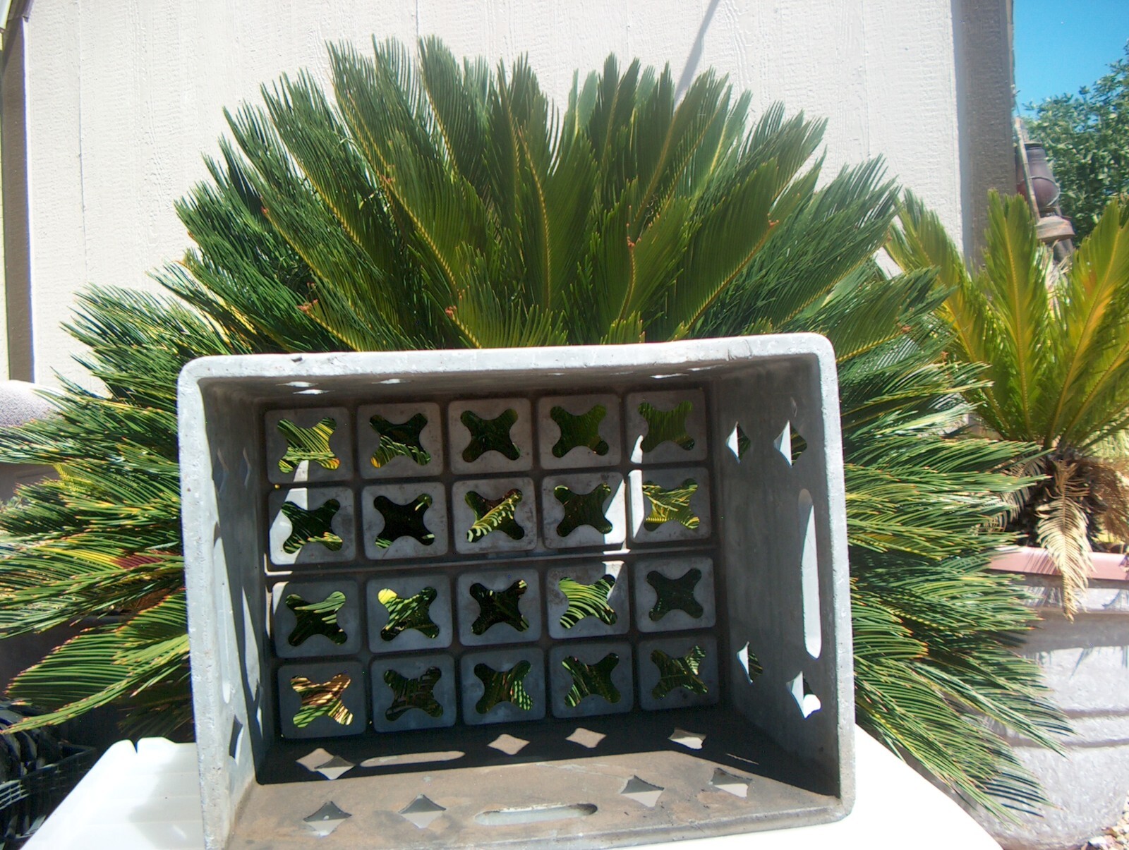Picture 6 of 6