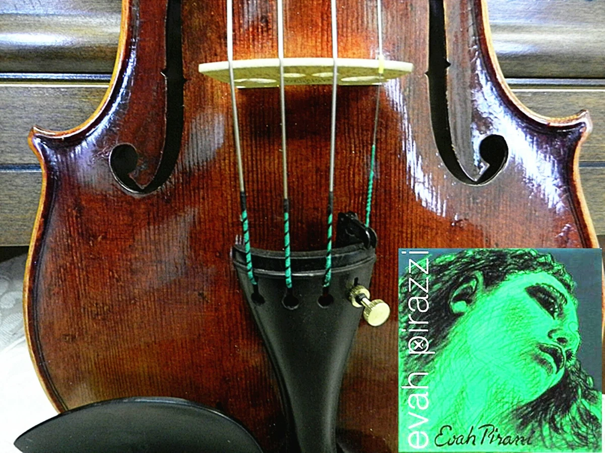 Evah Pirazzi Viola G String & Accessories