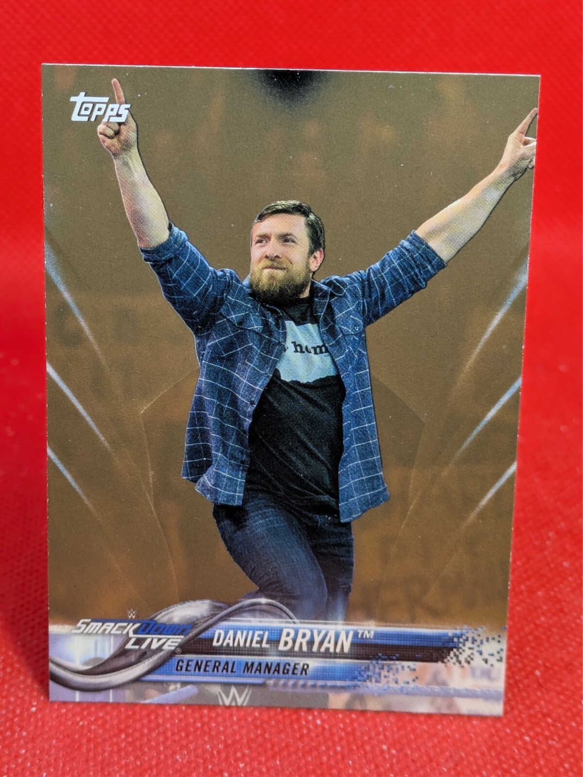 2018 Topps WWE Wrestling Bronze Parallel -- COMPLETE YOUR SET -- YOU PICK