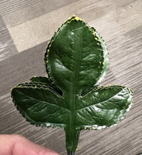 Vintage Tripoint Green Thick Fabric Millinery Corsage Leaves 12PC 2 1/4 W 2 1/2L