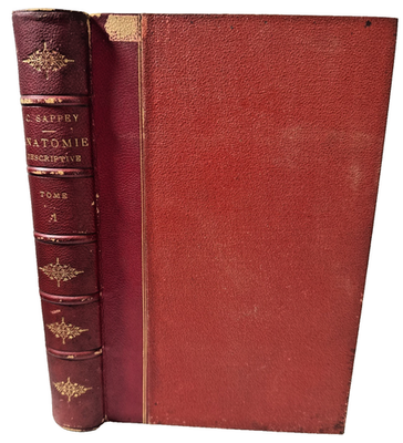 #ad French Treatise Anatomy Descriptive Book Vol 1 Sappey 1876 Antique Medical Book $299.99