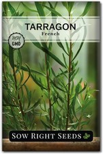 Sow Right Seeds - French Tarragon for Planting - Non-GMO Heirloom Green