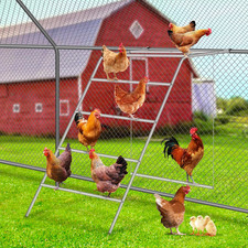 Chicken Coop Perches with Swing   Multi-Bar Wooden Roosting Ladder  Fun Chicken