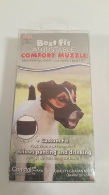 ship dog across country