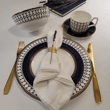 Renaissance Gold 20 Piece Dinner Set for 4 person, Renaissance Gold