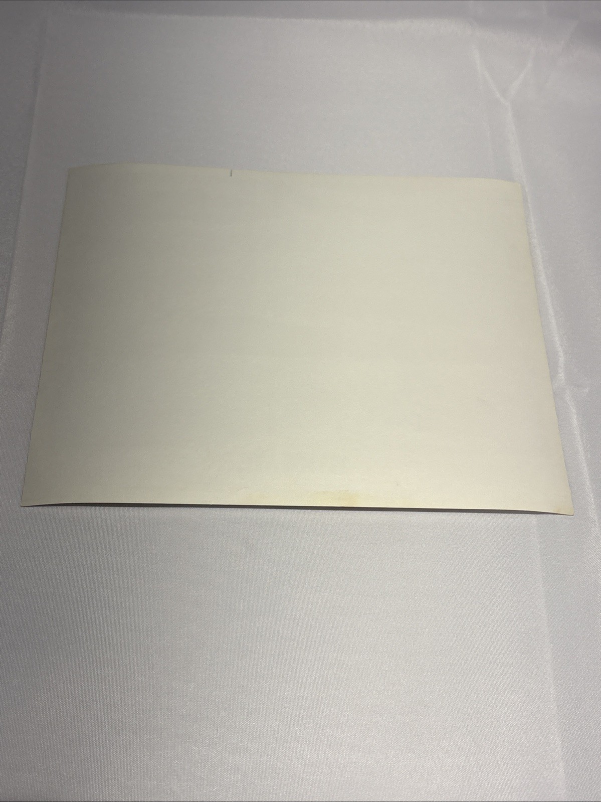 BUMMER - 1973 - 2 Original 8x10 Glossy Stills - SEXPLOITATION- CONNIE STRICKLAND