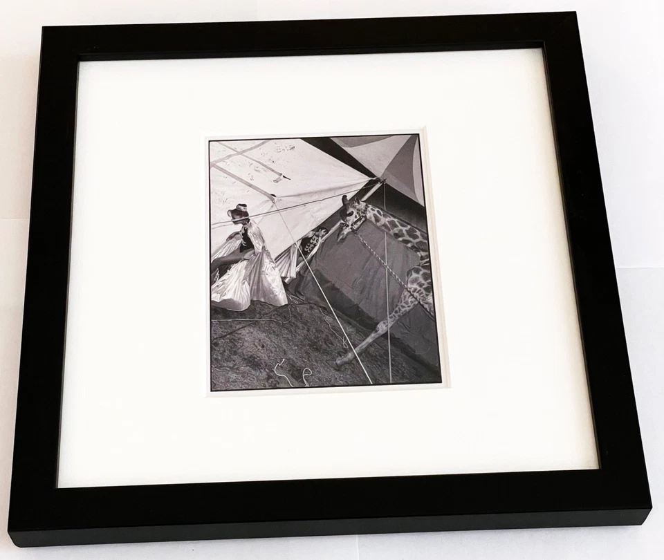 Estate Stamped MAGNUM SQUARE PRINT Mary Ellen Mark "Madona the Giraffe" 1998 - Image 2 of 4