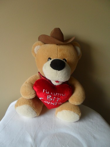 Peluche orso cowboy Dan Dee "I'm a Little Bit Country" - Foto 2 di 2
