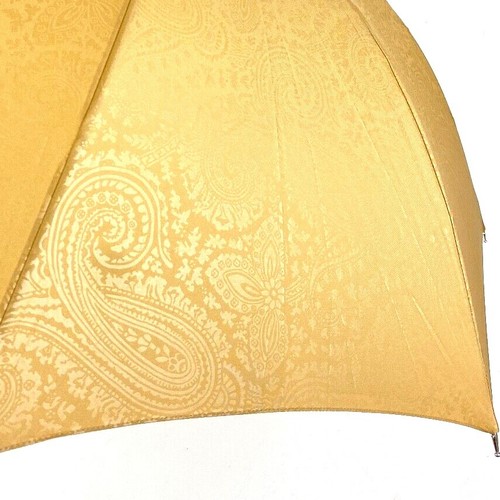 Ladies Auto Stick Umbrella Paisley Beige Lucite Handle - Picture 2 of 4