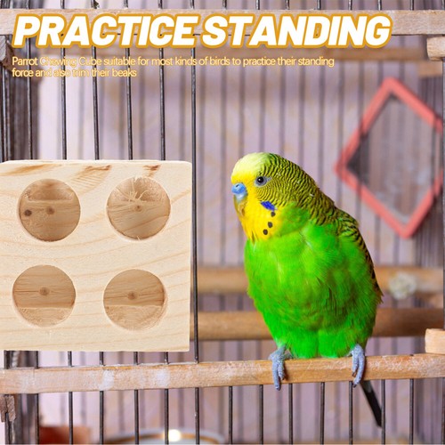 Wear-resistant Wooden Block for Parrot économies Bird Perch Stand Tabletop Bird