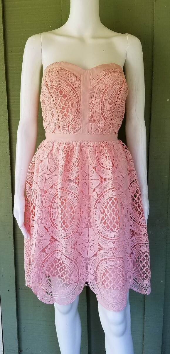 plus size light blue lace dress Plus Size Serene Bloom Lace Dress- Blue 2X / Blue at Curvy Sense
