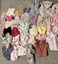 Girl Clothing Lot 3-12 M Carters, Honest  Co, Cat  Jack over 231 pieces.