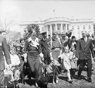 Easter Egg Hunt at White House 1933 Photo Washington, D.C.- Easter Monday the