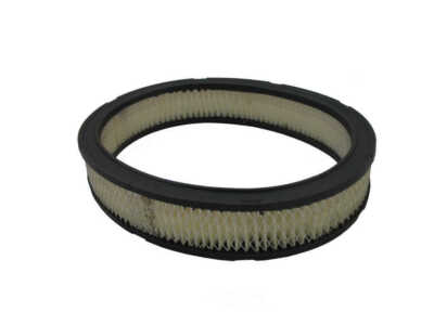 Air Filter Pentius PAB3536