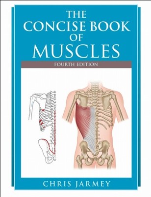 CONCISE BOOK OF MUSCLES by JARMEY, CHRIS Paperback Self Help Business