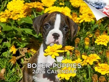 Boxer Puppies Dog Breed Calendar 2026 12x18 Made in USA