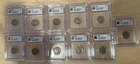 Lot Of 11! IGC Slabbed Genuine Buffalo Nickels