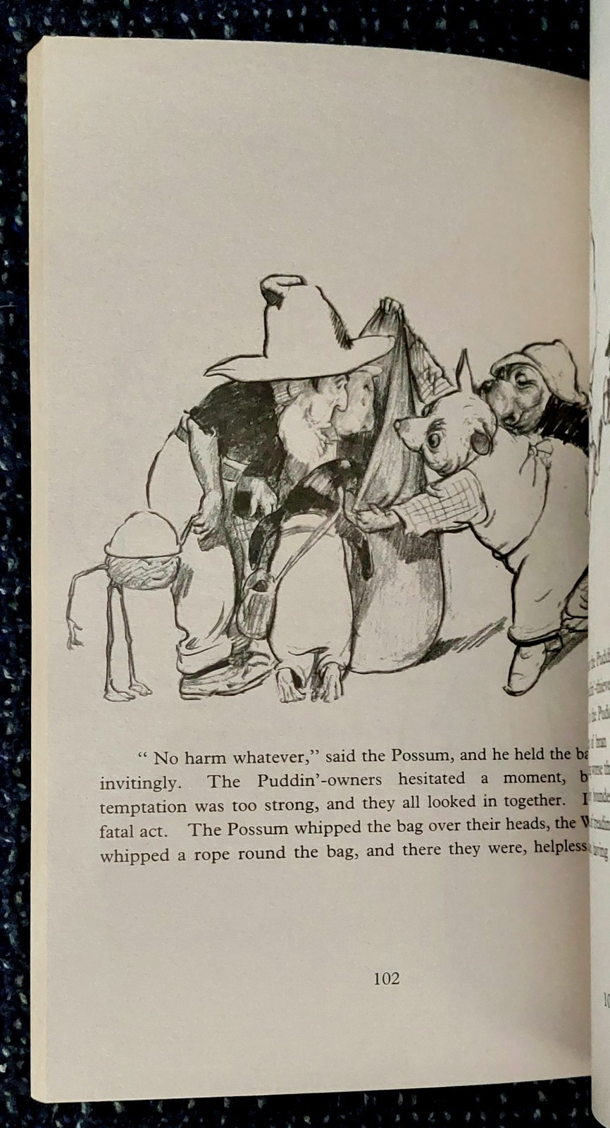 Picture 9 of 19