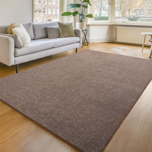 Modern Soft Area Rug, Chic Color Washable Rugs for Living Room, Home Decor Fl...