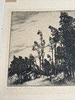 Bild 7 von 13
