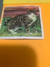 FIGURINA N.4 IL MONDO DEGLI ANIMALI ED.SUPER RAF 1973 OTTIMA NUOVA CON VELINA