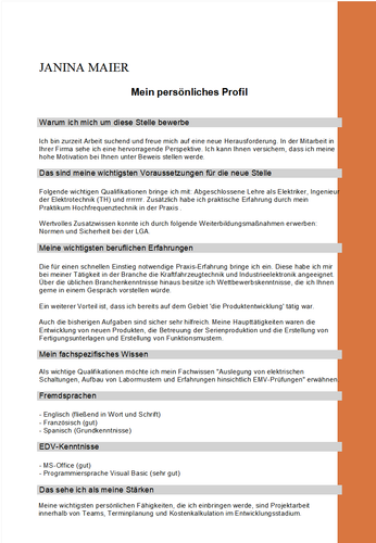 BEWERBUNGSMASTER professional 2025 | Software für alle Bewerbungsunterlagen - Bild 10 von 13
