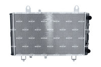 KüHler MotorküHlung FüR CitroËN Fiat Peugeot C25 Kasten Pritsche/Fahrgestell Bus