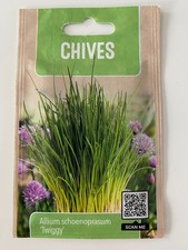 Schnittlauch Allium schoenoprasum "Twiggy" Samen 250mg lila