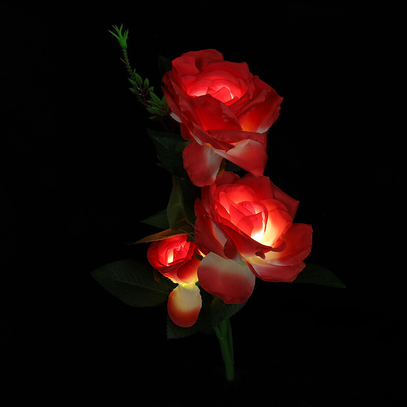 Picture 55 of 60