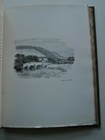 Picture 6 of 12