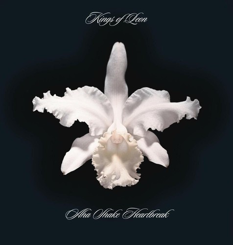 Kings of Leon Aha Shake Heartbreak 180g 2LP Vinyl 2017 Rca Legacy We Are Vinyl - 第 1/1 張圖片