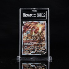 TAG 10 Entei V GG36/GG70 Crown Zenith: Galarian Gallery Holo
